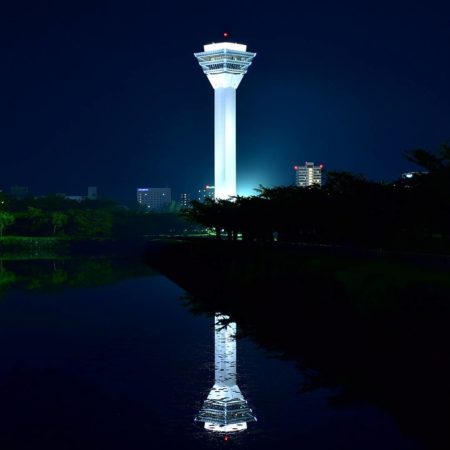 Goryokaku Tower at night