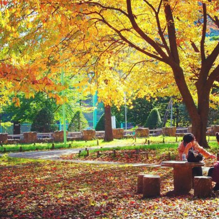 紅葉する公園で談笑する女性