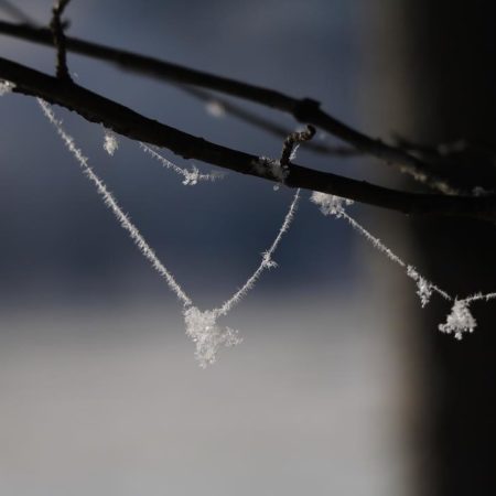 Spiderweb and hoarfrost necklace
