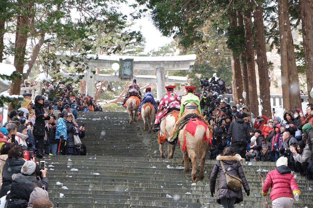 函館八幡宮での新年騎馬参拝