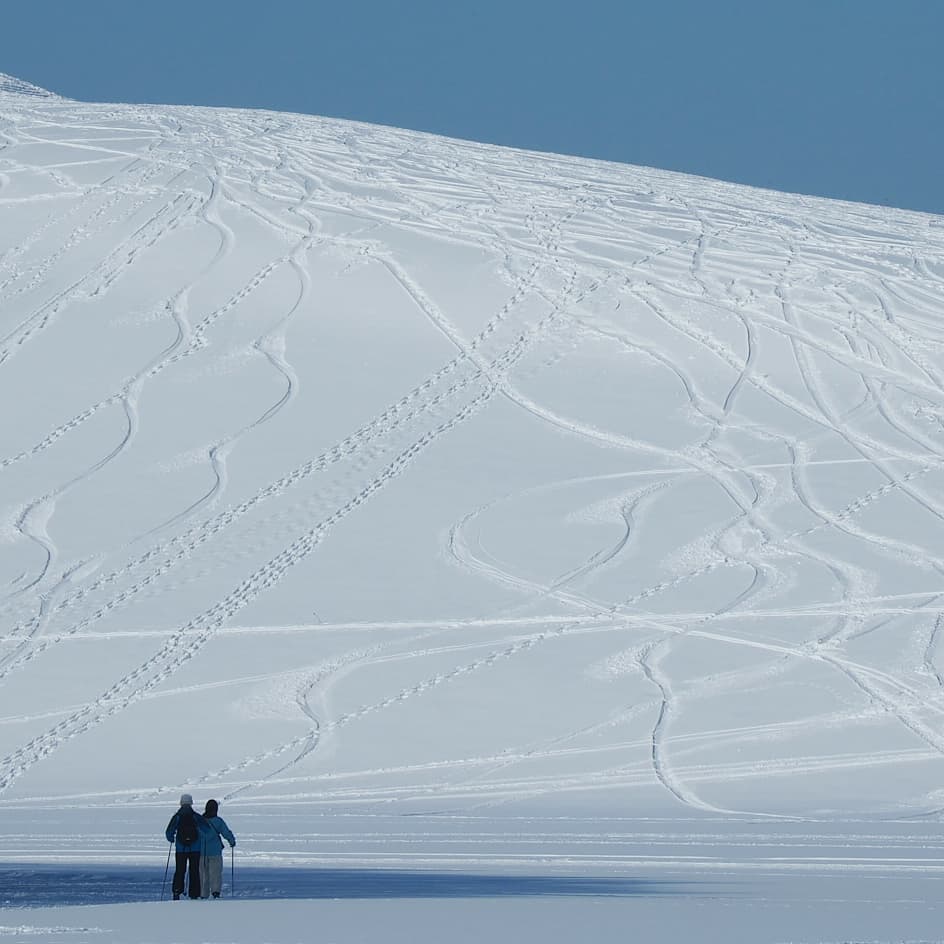 Ski‐trails and footprints in Mt. Moere