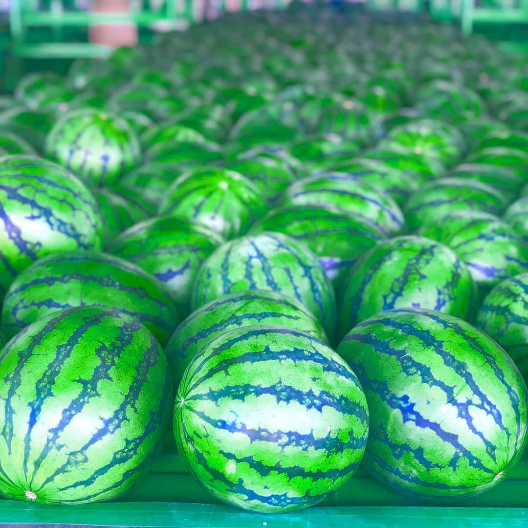 Delicious looking watermelon made in Kyowa