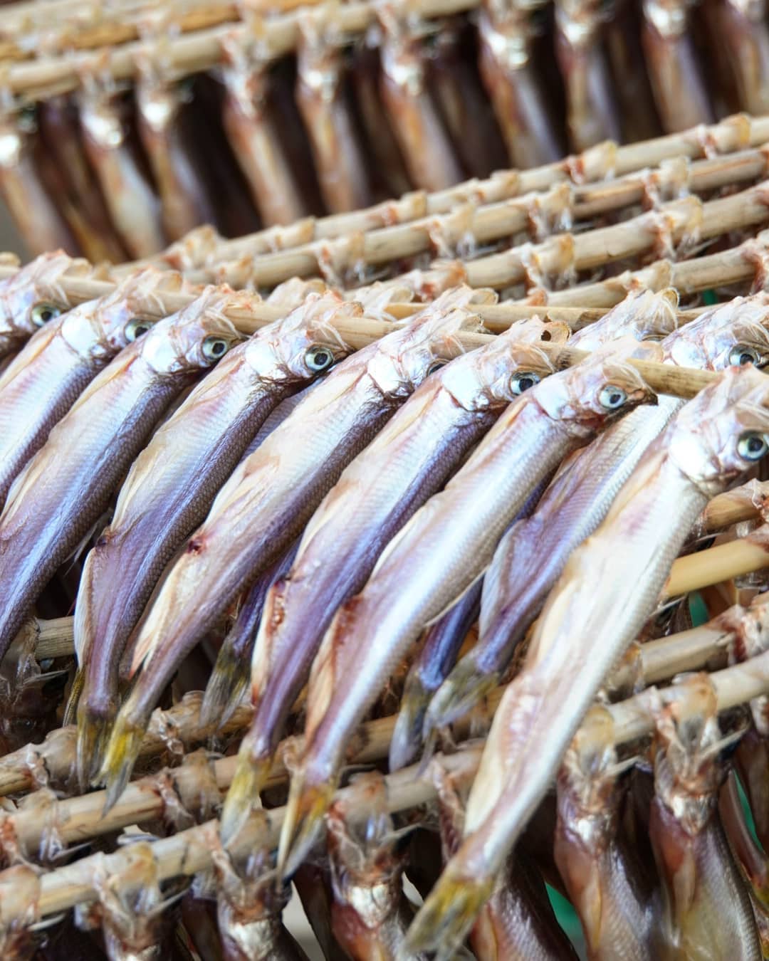 Smelt is Mukawa specialty