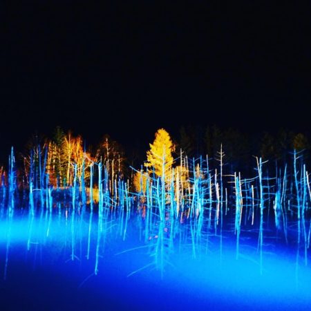 青い池のライトアップ