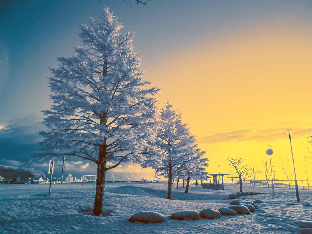 小樽市の幻想的な雪景色