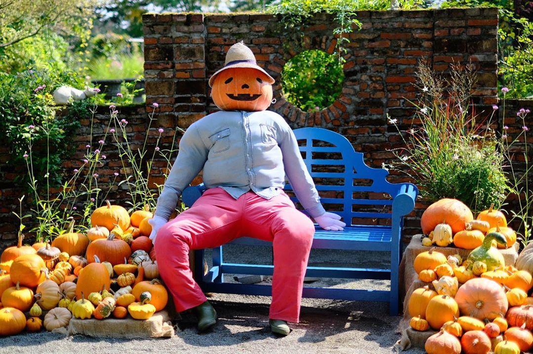 Pumpkin human of Ueno Farm in Asahikawa