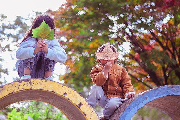 Children who hide their faces with leaves in Sapporo