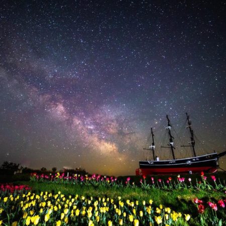 Milky Way and Tulips (Kikonai)