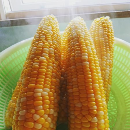 Freshly boiled corn (Shosambetsu)