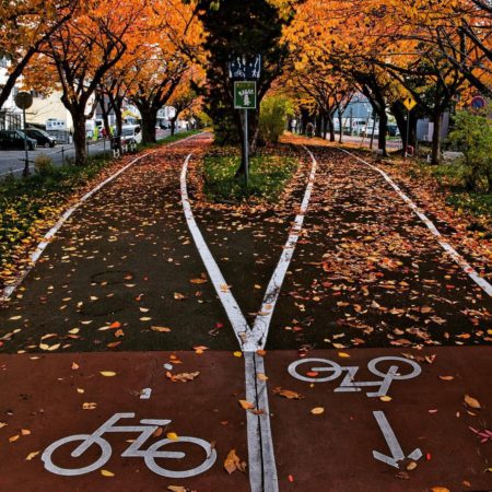 秋のサイクリングロード（札幌市）