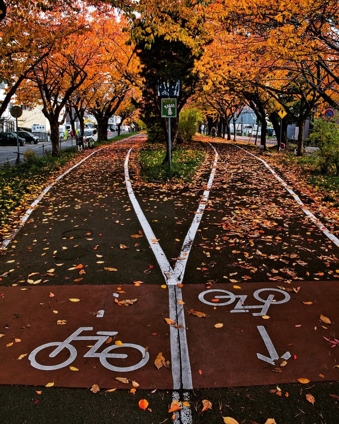 秋のサイクリングロード（札幌市）