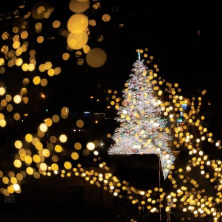 Beautiful illuminations of Hakodate Christmas Fantasy (Hakodate)