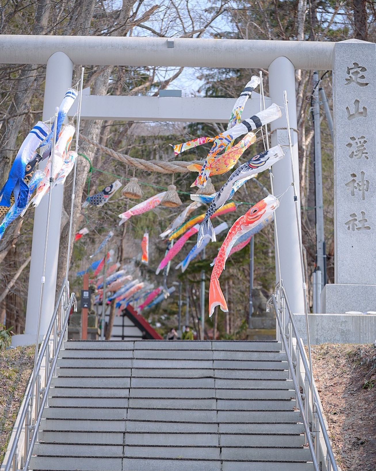定山渓神社の鯉のぼり（札幌市）