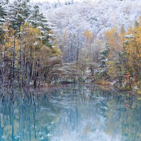Autumn leaves, snow, and blue pond (Biei)