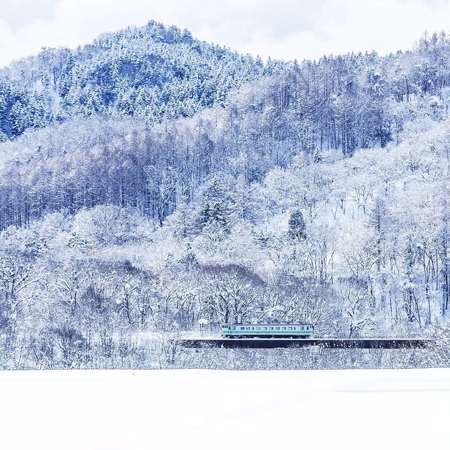 A train going through the snowfield