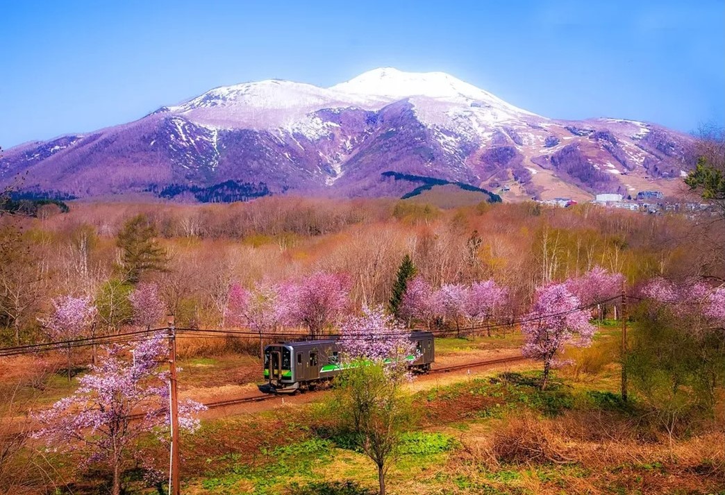 山線の春（倶知安町）