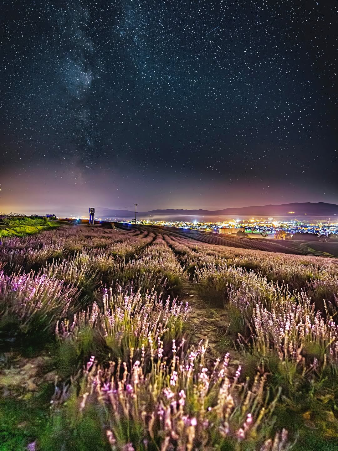 Starry sky and lavender fields（Kamifurano）