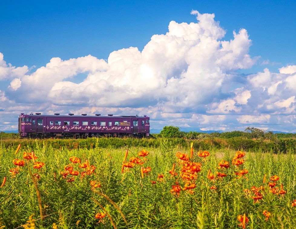 Cumulonimbus clouds and local train lines (Tomakomai)