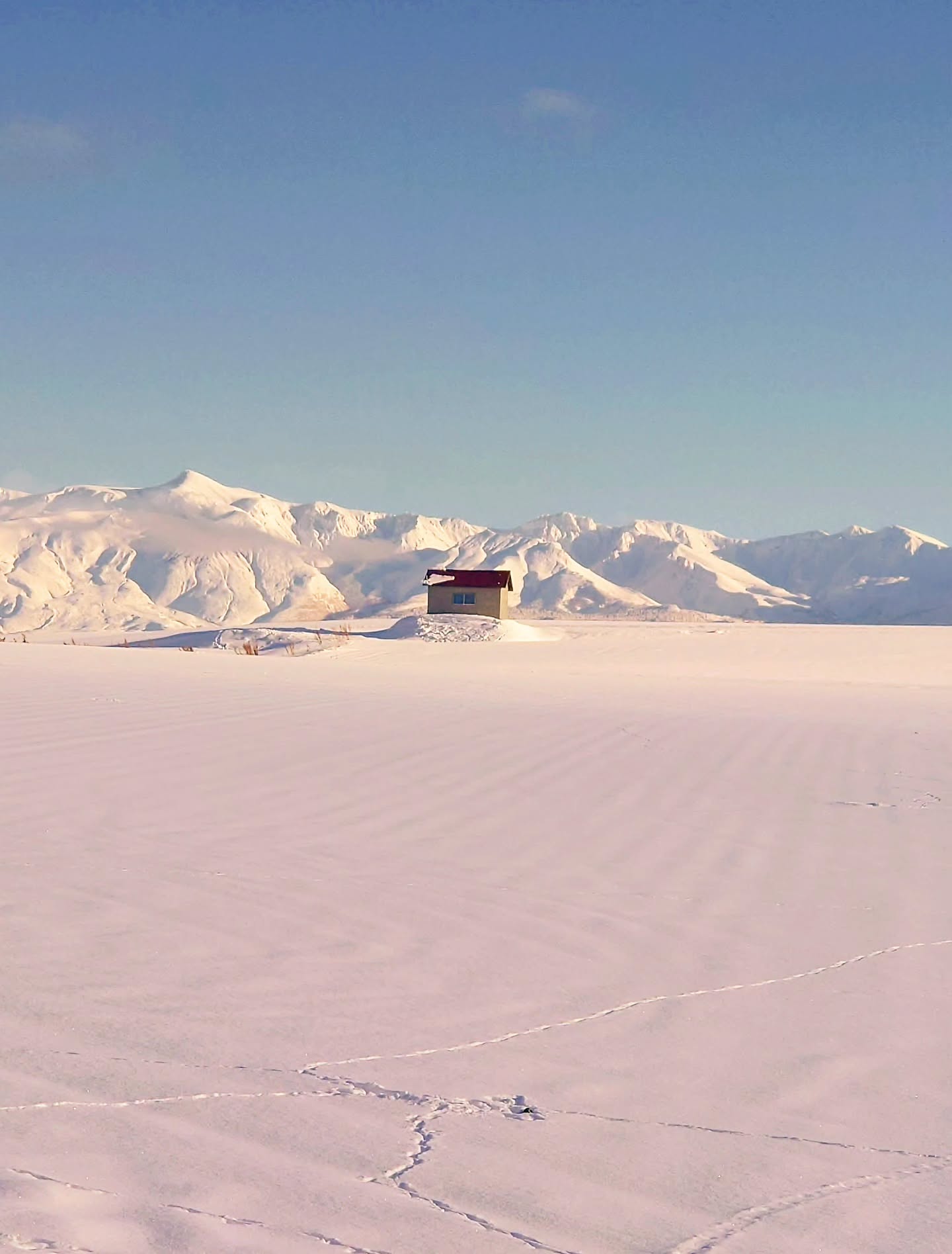 赤い屋根の家と雪景色（美瑛町）