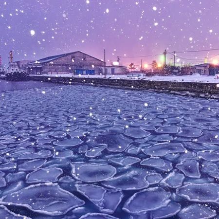 蓮の葉氷（室蘭市）