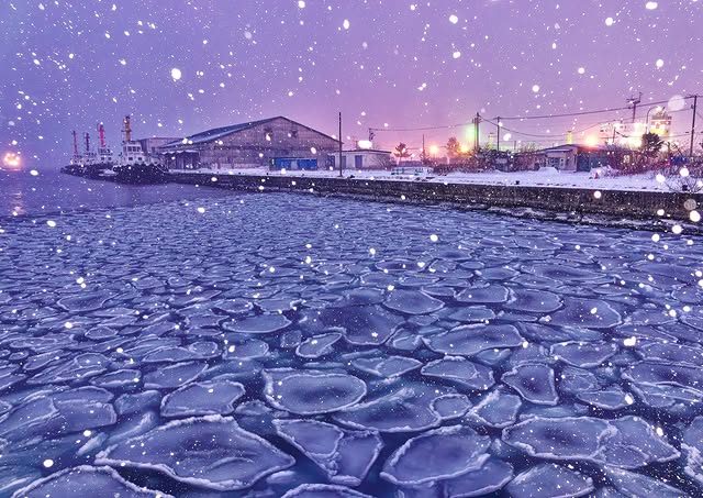 蓮の葉氷（室蘭市）